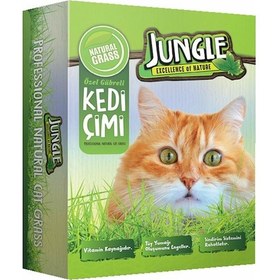 Resim Jungle Fileli Kedi Çimi 