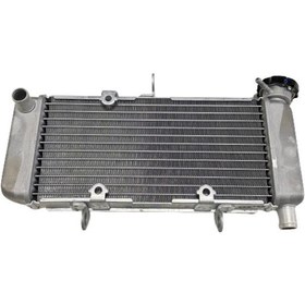 Resim Radyatör Cbr250 A (539366797) 