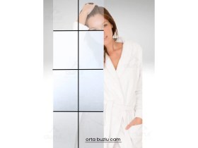 Resim Durul Duşakabin Kare Ortası Buzlu Siyah Çizgi 5mm H:190 cm 