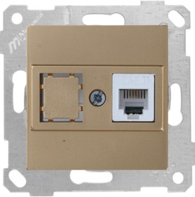 Resim Genel Markalar Rita A. Altın Mek+tuş Telefon Prizi 1xrj12 (cat3) 