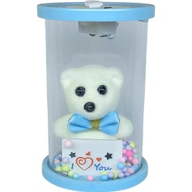 Resim Cam Fanus Işıklı I Love You Ayıcık Mavi 