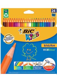 Resim Bic Evolution Kuru Boya Kalemi 24'li Paket 937515 