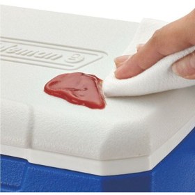 Resim Coleman Performance 5QT Cooler Soğutucu Buzluk - 4.7 Lt 