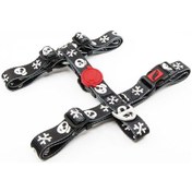 Resim Tailpetz Boo Göğüs Tasmasi ( Small ) Çok Renkli 