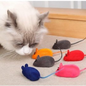 Resim Yıldızan srdshop 4 Adet Kedi Eğitim Oyun Faresi Sesli 1249128 