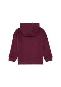 Resim U.S. Polo Assn. Erkek Çocuk Bordo Kapüşonlu Sweatshirt 50313842-VR177 