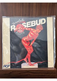 Resim Rosebud - Discoballs A Tribute To Pink Floyd , 1977 Lp Disco 