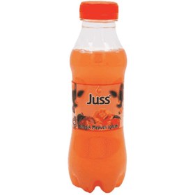 Resim Juss Karışık Meyveli İçecek Pet 250 Ml 