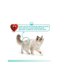 Resim Tüy Dökülmesi Önleyici Kedi Ödül Maması Ton & Somon Balık Yağlı Kedi Ödül Kreması 5x14gr 