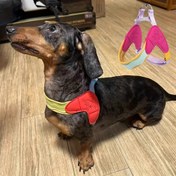 Resim Köpek Tasması - Yumuşak Ayarlanabilir Güvenlik Tokalı, Pembe/Sarı/Renkli Detaylı, Yastıklı Dolgulu ve Metal Halka, Küçük ile Orta Boy Köpekler İçin - Gezme, Eğitim ve Günlük Kullanım için Nefes Alabilen Malzeme 