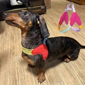 Resim Köpek Tasması - Yumuşak Ayarlanabilir Güvenlik Tokalı, Pembe/Sarı/Renkli Detaylı, Yastıklı Dolgulu ve Metal Halka, Küçük ile Orta Boy Köpekler İçin - Gezme, Eğitim ve Günlük Kullanım için Nefes Alabilen Malzeme 
