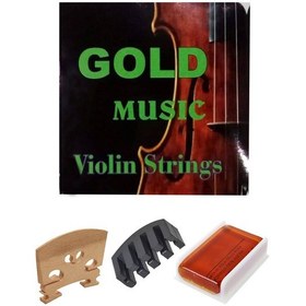 Resim Keman Tel Takımı+Susturucu+Eşik+Reçine 