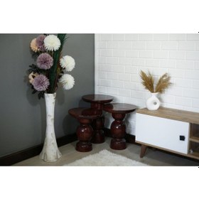 Resim 3'lü Karpuz Model Yan Sehpa Kahverengi 