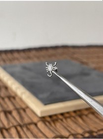 Resim Yüksek Kalite G23 Akrep Zirkon Titanyum 6 X 1.2 MM Labret Piercing Gümüş 