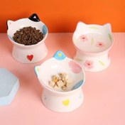 Resim 2 adet Seramik Kedi Mama ve Su Kapları, 1'i İçme için ve 1'i Yemeği için, Kolay Besleme için Eğimli Tasarım, Omurga Koruma, Evcil Hayvan Malzemeleri > Kedi Aksesuarları > Besleme & Sulama Araçları > Yüksek Platformlu Kase 