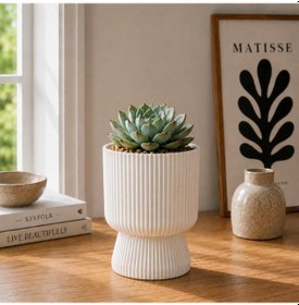 Resim So-ltsa01 Lotus Ayaklı Plastik Vazo Çiçek Saksı 1.8 Litre No:1 Beyaz 6 Adet 
