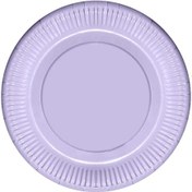 Resim Lila Makaron Karton Tabak 23 CM 8'li 