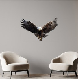 Resim Kara Kartal Renkli Metal Tablo 