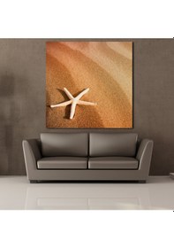 Resim Deniz Yıldızı Kanvas Tablo 200x200cm 