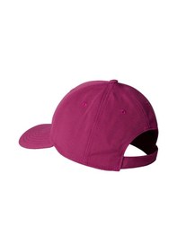 Resim The North Face 66 Classıc Şapka Nf0a4vsvagc1 Çok Renkli 