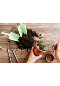 Resim Kaktüs Sukulent Toprağı 5 Lt- 7'li Özel Karışım Akıllı Gübre Katk 