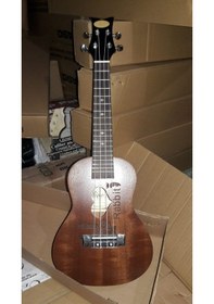 Resim Concert Boy Maun Ağacı Rabbit Ukulele-Kılıf-Pena 