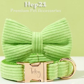 Resim Dog Collar Named Light Green Collar 446519 - 4pcs set / S 