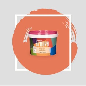 Resim Bi Boya İpek Mat Trendy 2.5 L Olimpos Ateşi 