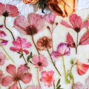Resim 50 adet Şeffaf Basınçlı Çiçek Etiketleri - PET Doğa Çiçek Etiketleri, Scrapbooking ve Günlük Tutma için, Şeffaf Mat Bitiş, Düzensiz Şekiller, Kendinden Yapışkanlı, El Sanatları ve DIY Projeleri için Mükemmel 