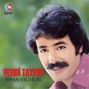 Resim Gereksi̇z Şeyler Ferdi Tayfur Nisan Yağmuru Plak 