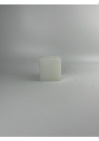 Resim Kaktüs Silikon Kalıp 