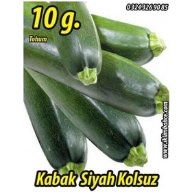 Resim Kabak Tohumu Siyah Dolmalık 10 G Takribi 35 Tohum 