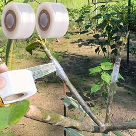 Resim Güçlü Yapışkanlı Meyve Ağacı Aşıme Bandı, 215.0 metre Rulo - Esnek & Kendinden Yapışkanlı Film Bitki Koruma ve Sarma için 