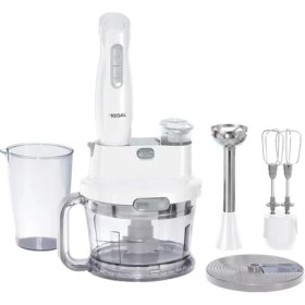 Resim Regal Multiblender Set RMBS 1000 G 