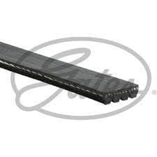 Resim Fiat İdea 1.6 16V Klima Kompresör Kayışı GATES Marka 71718838 