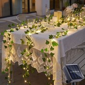 Resim Güneş Enerjili Sarmaşık Led Dekor 5 Metre 