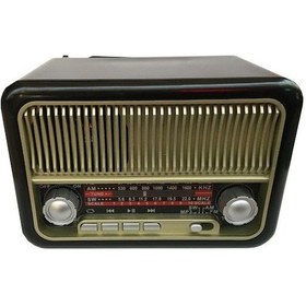 Resim Everton Rt 308 Radyo 