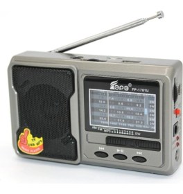 Resim Fepe Fm Radyolu Bluetoothlu Şarjlı Cep Radyosu + El Feneri FP-1781BT 