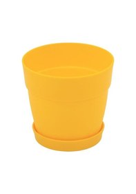 Resim Poliwork Tabaklı Kaktüs Saksı Mix 0,11 Lt 65 60 Mm 32328980 
