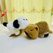 Resim Dzjjna Yeni 1 Adet Dört Inç Iyi Şanslar Karikatür Peluş Oyuncak Bebek Anahtarlık Sevimli Bebek Anahtar Küçük Kolye Seti (Yurt Dışından) 