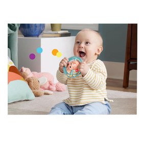 Resim Fisher Price Sensimals Dişlik Seti HRB19-HRB21 