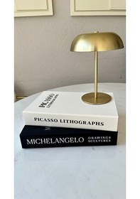 Resim Kumaş Kaplı 2'li Dekoratif Kitap Kutu Michelangelo-picasso 