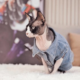 Resim Paw Portal Denim Ceket Kedi Kıyafeti - XXL 