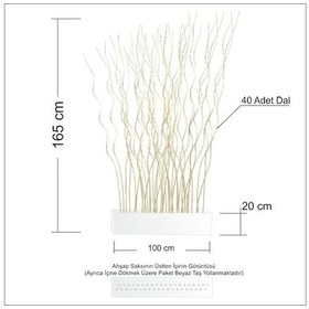 Resim 165Cm Uzun Beyaz 100Cm Saksılı Oda Bölme Seperatör Paravan 