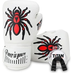 Resim Titan Sport Örümcek Desenli Set Fgr Model-17 Boks Eldiveni Çok Renkli 