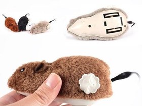 Resim Kurmalı Fare Kedi Eğitim Oyuncağı 