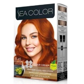 Resim Sea Color Set Boya 8.45 Tarçın Bakır 