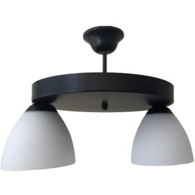 Resim Mylights Kampanya Retro Ikili Opal Avize 