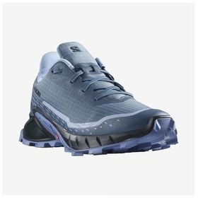 Resim Salomon 473135 Alphacross 5 W Bering Sea/carbon/blue Heron Kadın Outdoor Çok Renkli 