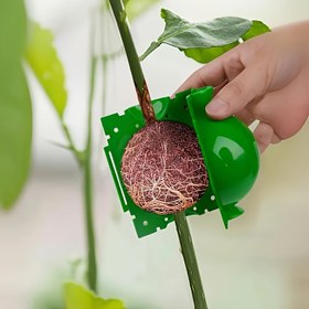 Resim 20 Adet Bitki Köklenme Büyüme Kutuları - Yüksek Basınçlı Üreme & Aşı Kiti, Hava Katmanlı Kapsüller, Fide Kesme Araçları ve Ağaçlar, Bonsai & Bahçeler için Dal Kontrolü 